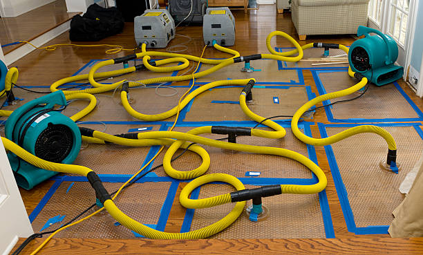 Professional Burst Pipe Water Damage technician working in Harrison, WI